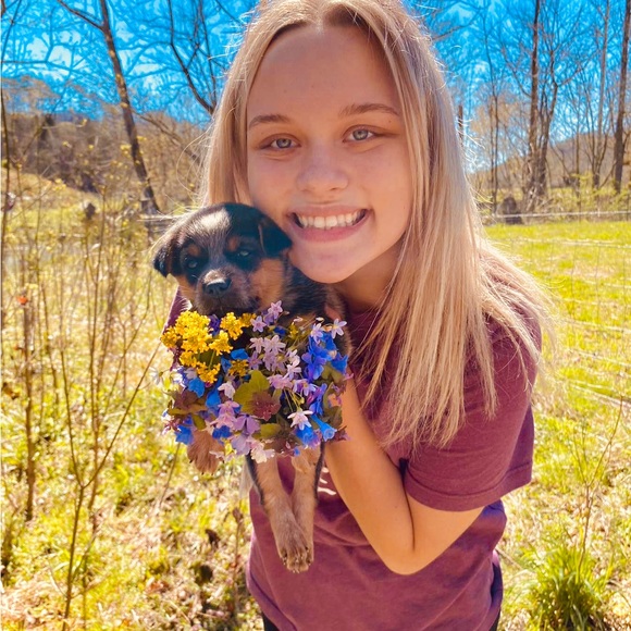 Meet your Posher, Chandra - Picture 13 of 15